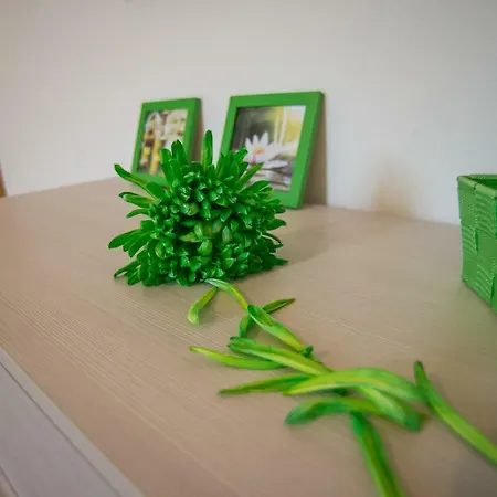 Appartement Zer051 Algardi 8